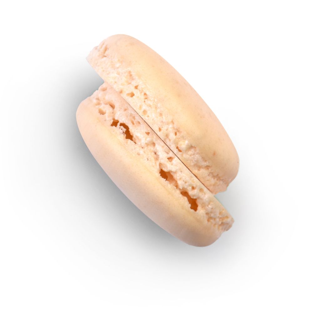Macaronskal, halvor, vår, d: 35 mm (384 st)