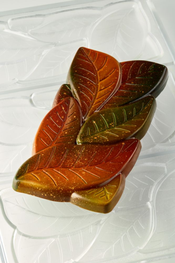 Pavoni, gjutform för chokladkaka, PC5077, Garden, 100 g, 3 st/form