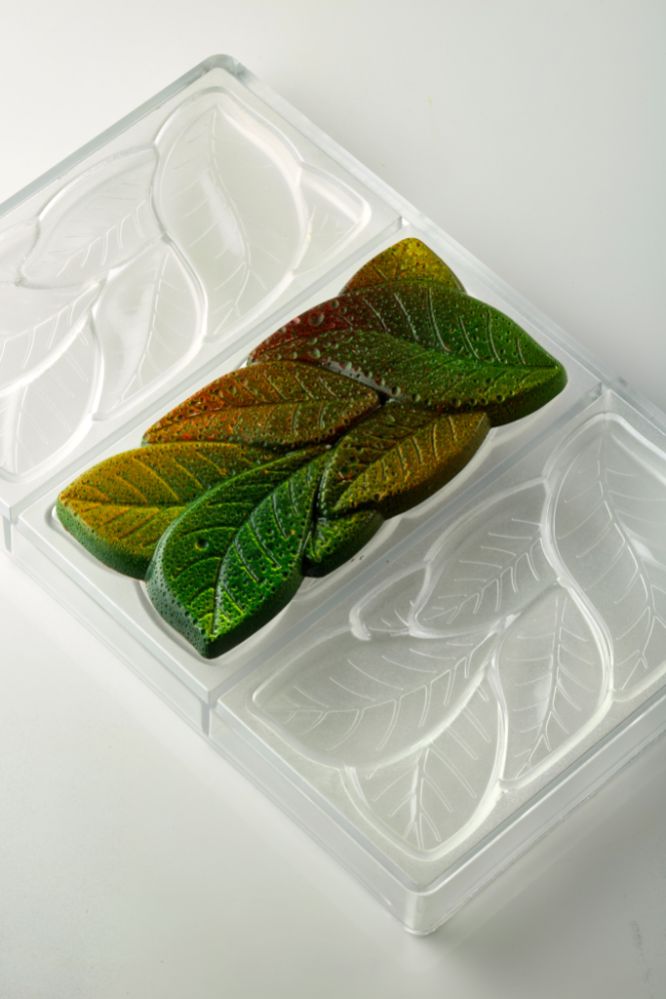 Pavoni, gjutform för chokladkaka, PC5077, Garden, 100 g, 3 st/form