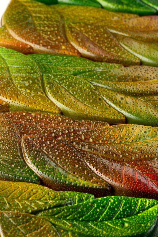 Pavoni, gjutform för chokladkaka, PC5077, Garden, 100 g, 3 st/form