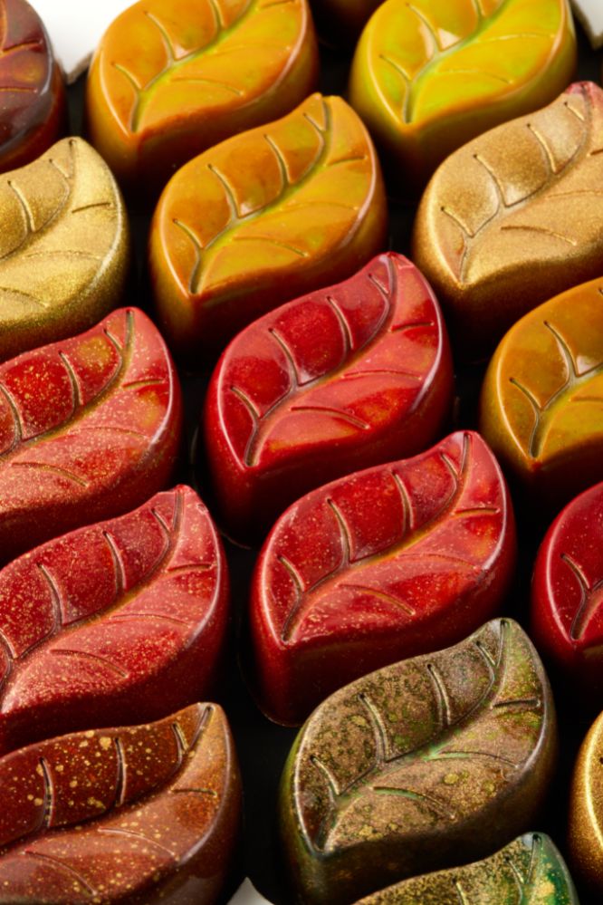 Pavoni, pralinform, PC5074, Garden, 10 g, 24 st/form