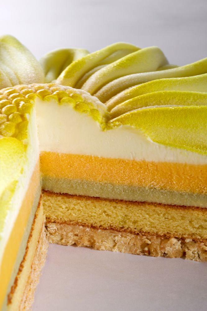 Pavoni, silikonform 3D Cake, KE114, Floris, d: 200 mm, h: 47 mm