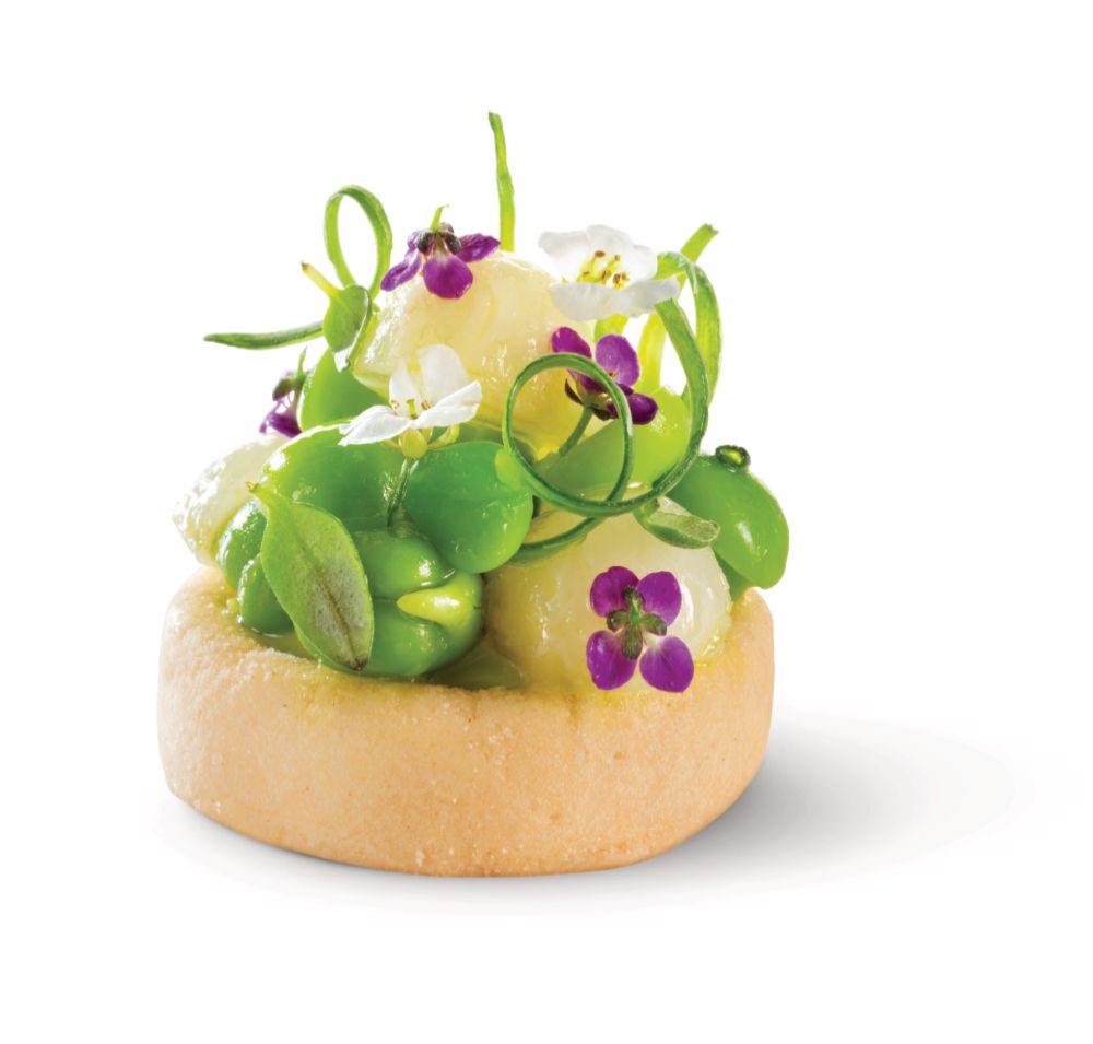 Bakade skal, One-bite, salta, runda, d: ca 30 mm, h: 7 mm (ca 280 st)