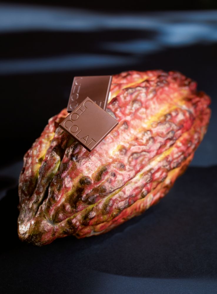 Felchlin, gjutform för chokladkaka, Chocolat, 2 g, 28 st/form