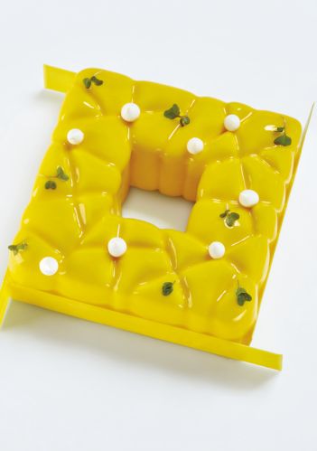 Pavoni, silikonform 3D Cake, KE037, Square, d: 150x150 mm, h: 54 mm