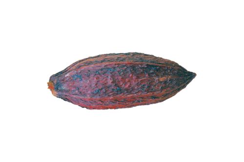 Felchlin, torkad kakaofrukt, hel