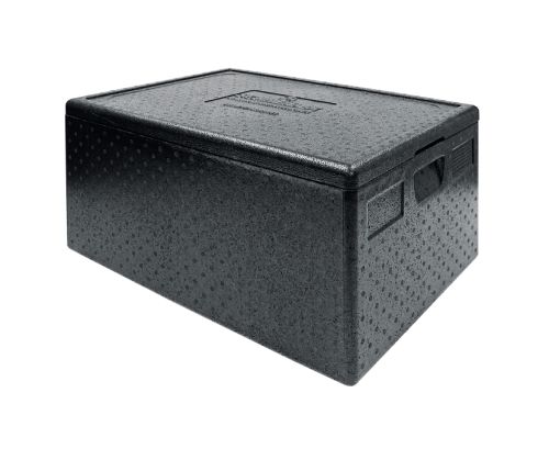 Transportbox med lock – 40 × 60, 685 x 485 x 260 mm